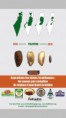 /album/tracts-affiches/a17512-668306956516204-1480402898-n-1-jpg1/
